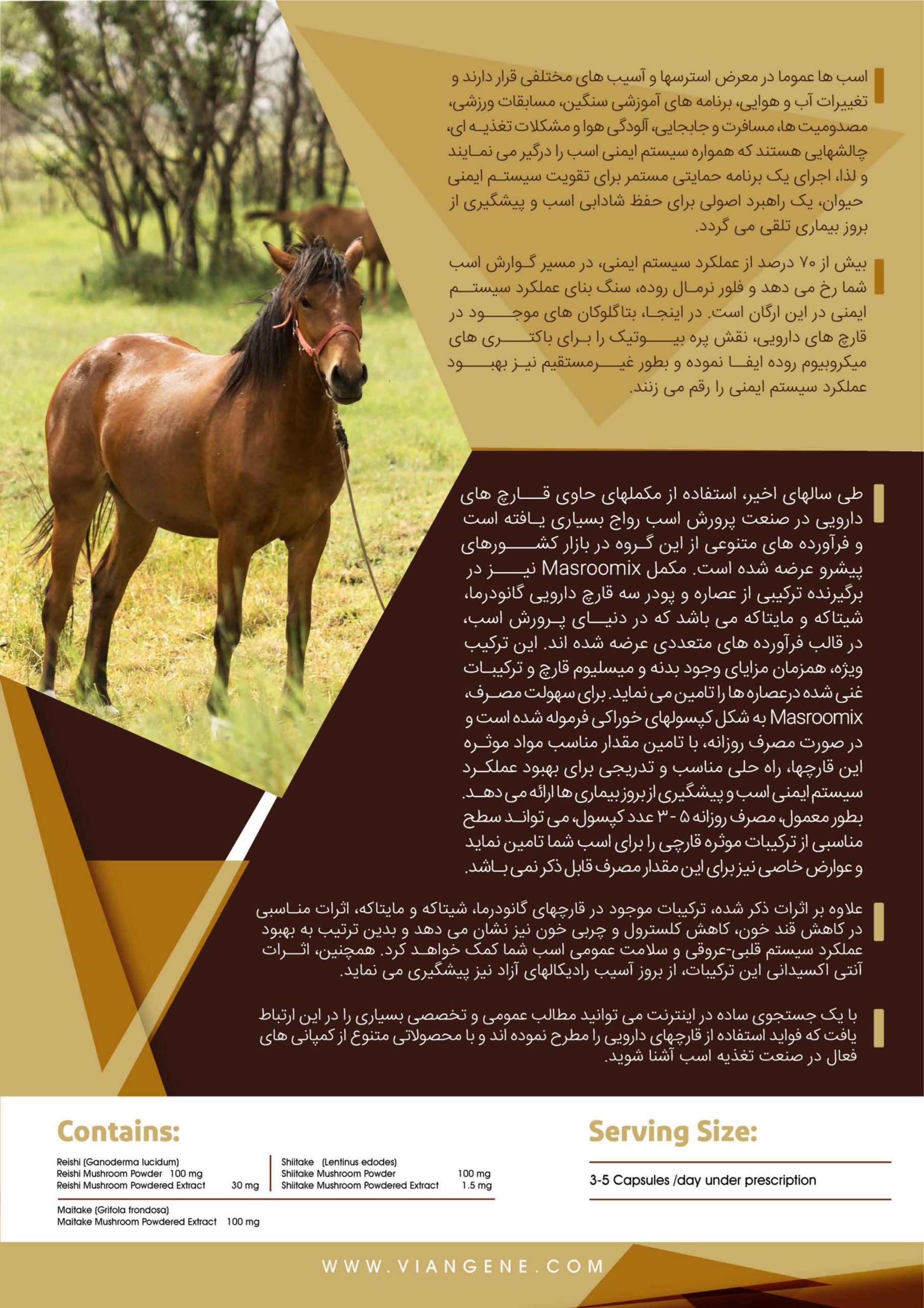 مکمل Masroomix