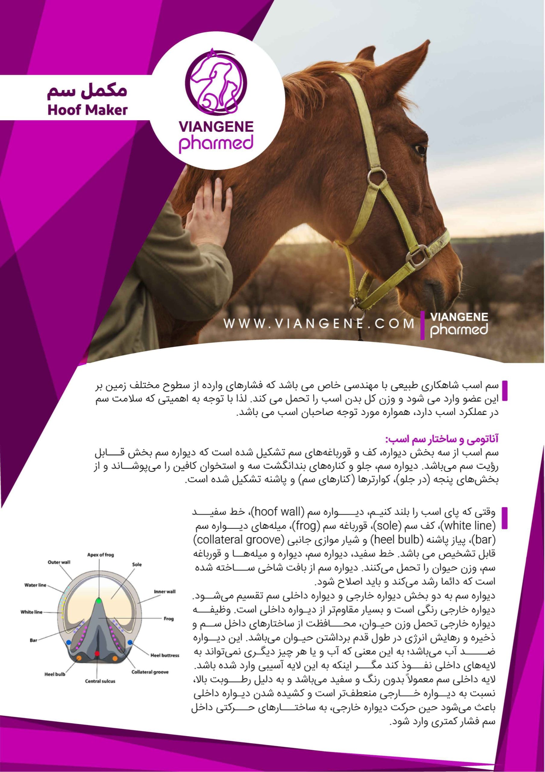 مکمل سم اسب