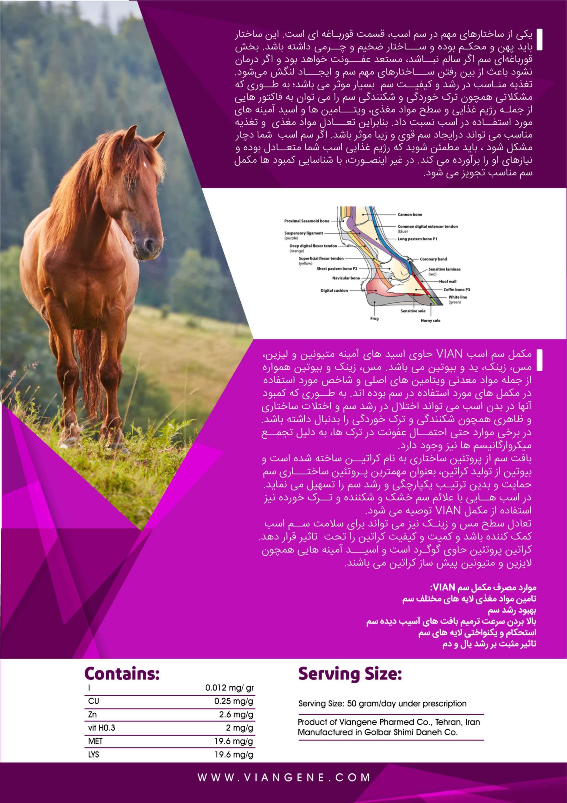مکمل سم اسب