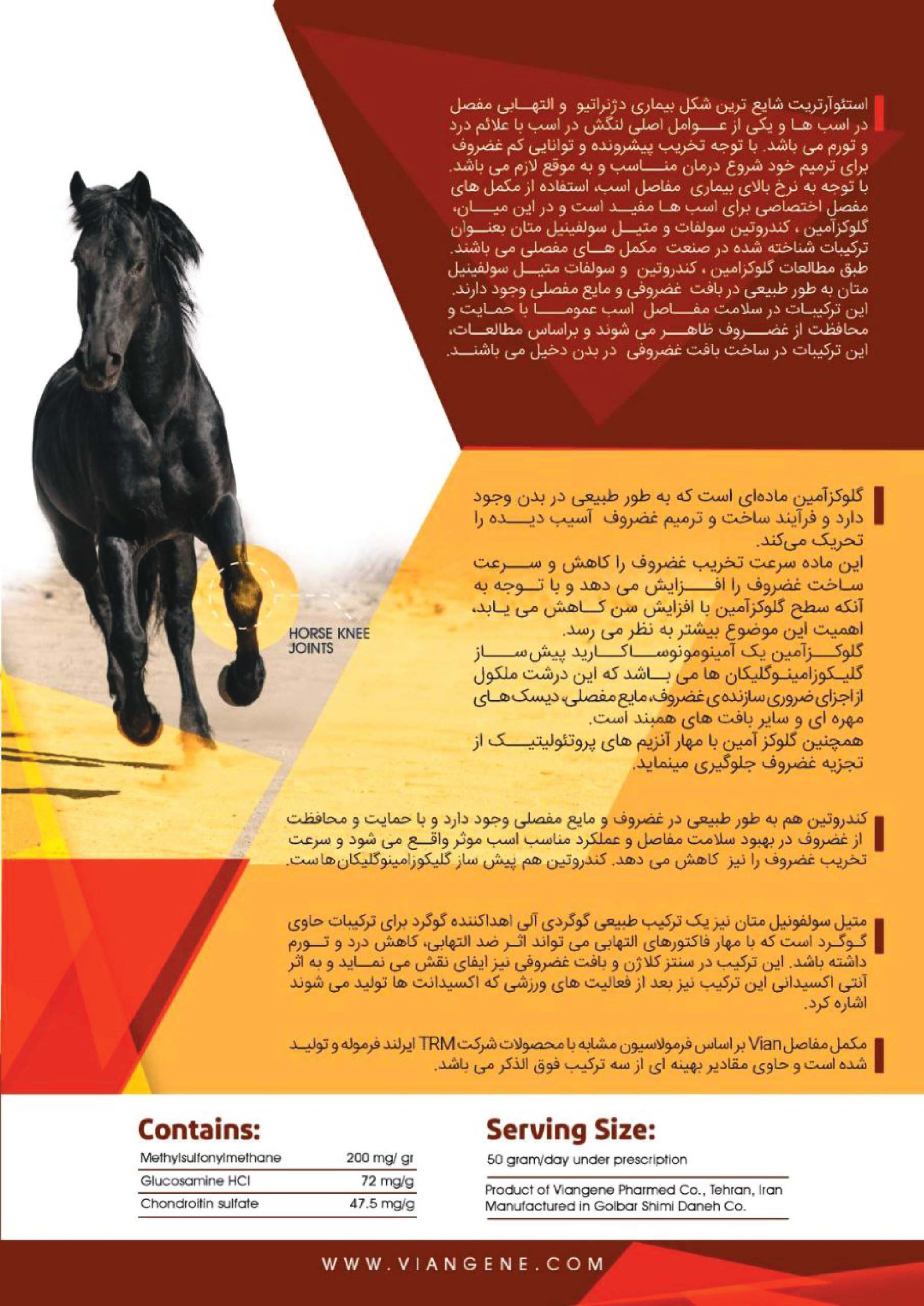 مکمل مفصل اسب