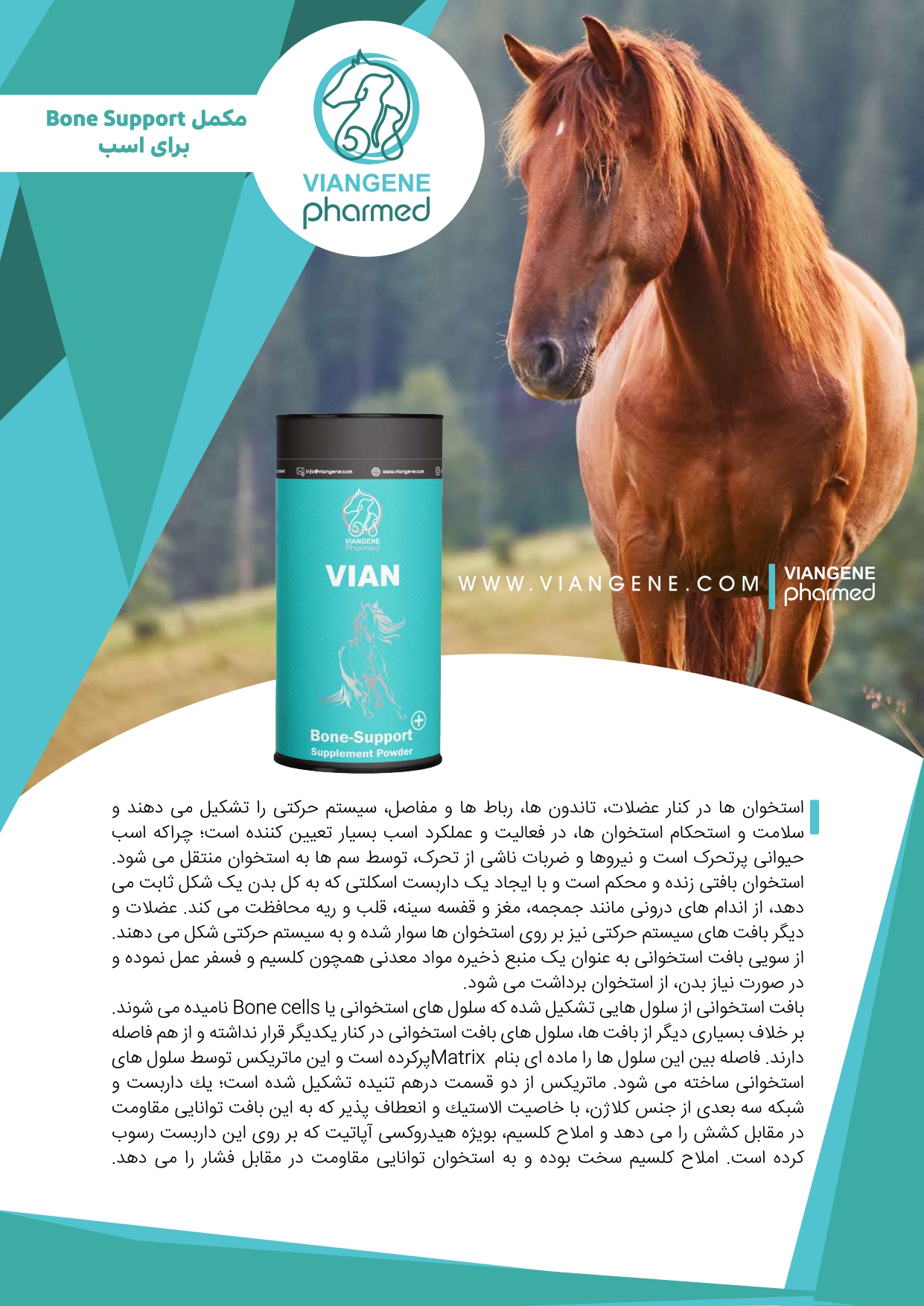 مکمل استخوان اسب صفحه یک