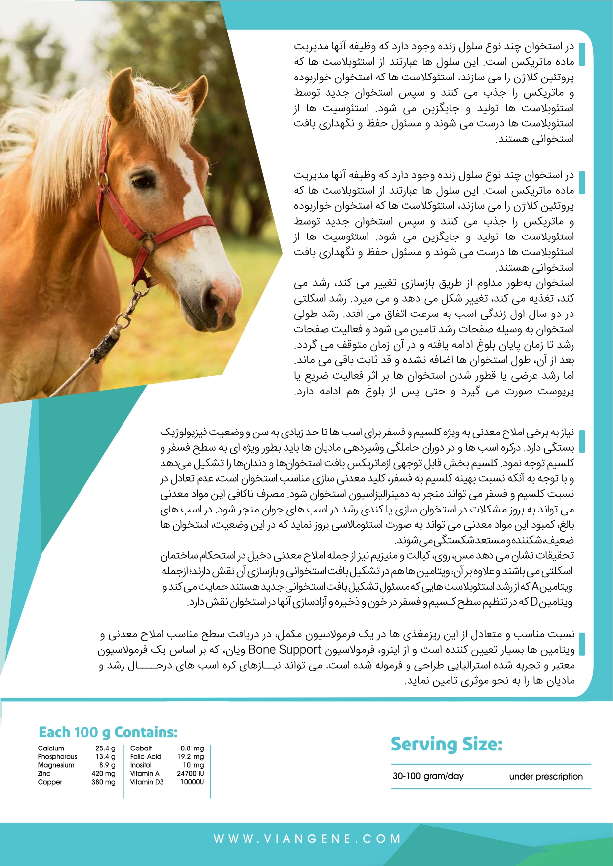 مکمل استخوان اسب صفحه 2