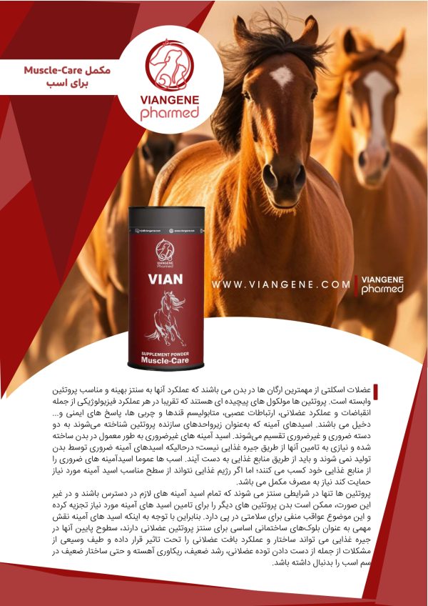 مکمل عضلات اسب
