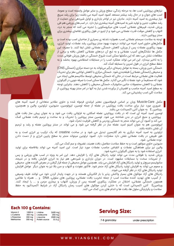 مکمل عضلات اسب